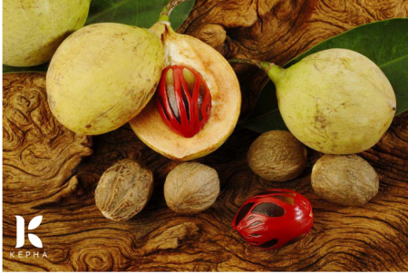 Tinh dầu Nhục đậu khấu – Nutmeg Essential Oil