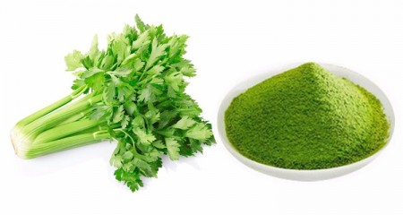 [Nguyên liệu thực phẩm chức năng] Bột cần tây