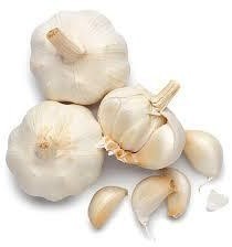 Tinh dầu Tỏi – Garlic Essential Oil
