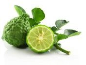 Cam hương – Bergamot