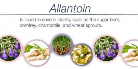 Chất chống kích ứng - Allantoin